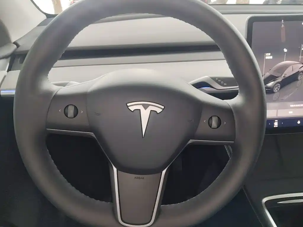 Tesla Model Y — миниатюра 11