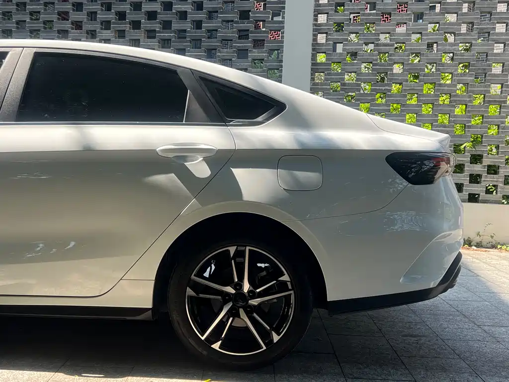 GEELY AUTOMOBILE BINRUI