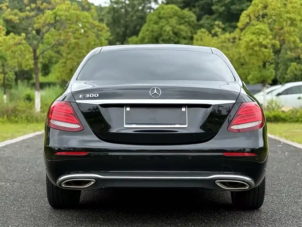 Mercedes-Benz E-Class E 2020 E 300 L
