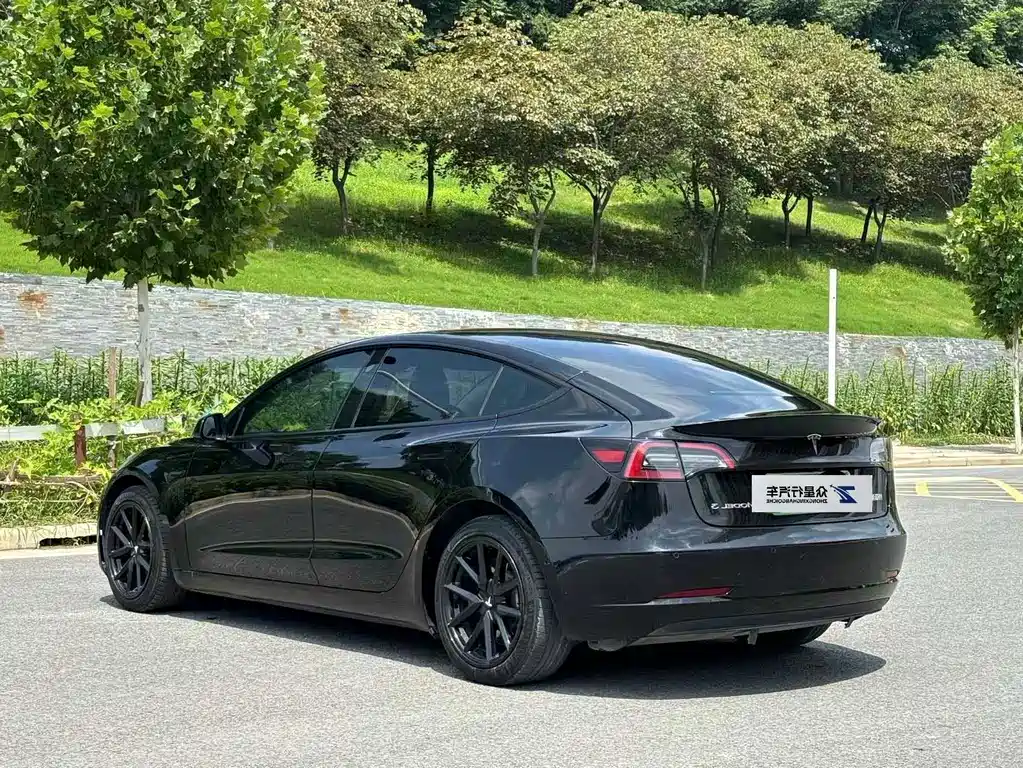 Tesla Model 3 — миниатюра 5