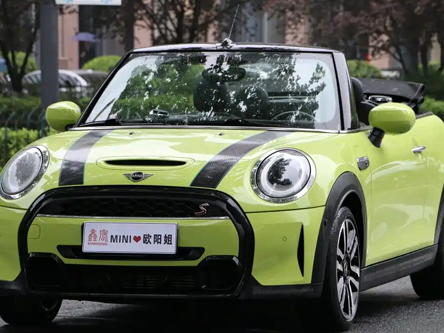 Mini Mini 2021