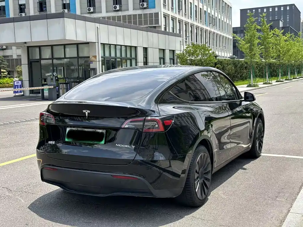 Tesla Model Y — миниатюра 8