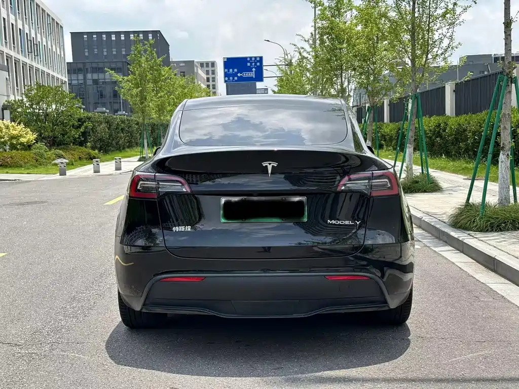 Tesla Model Y — миниатюра 9