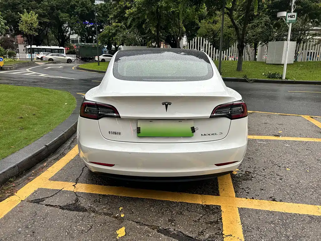Tesla Model 3 — миниатюра 5