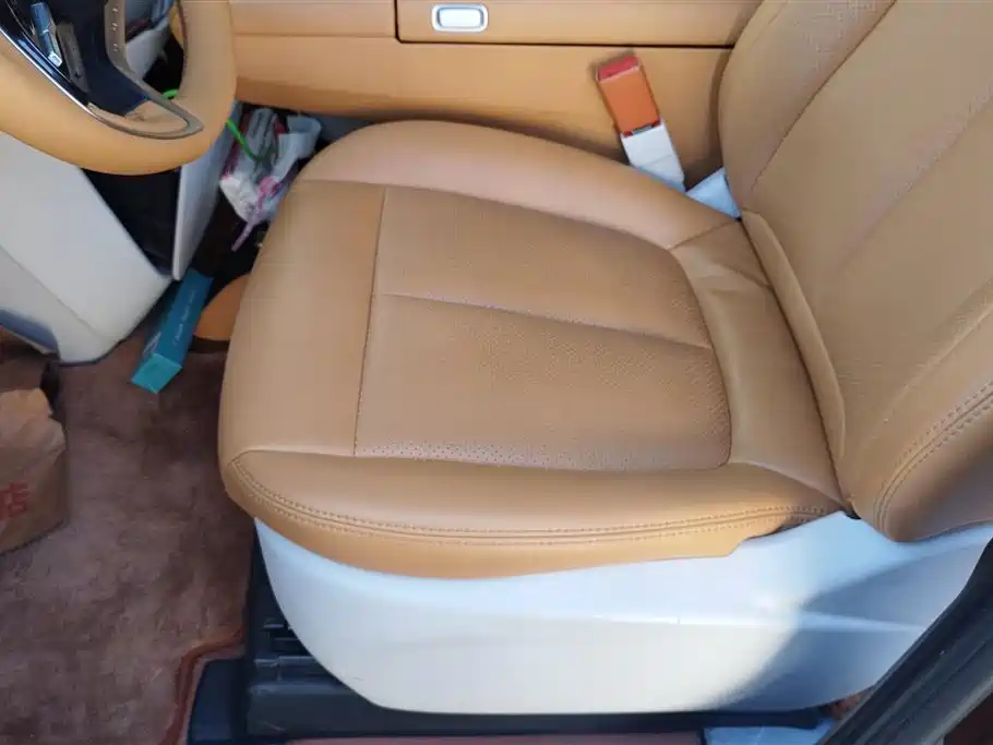 BUICK GL8 NEW ENERGY