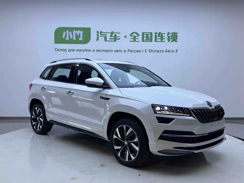 Skoda Karoq — миниатюра 2