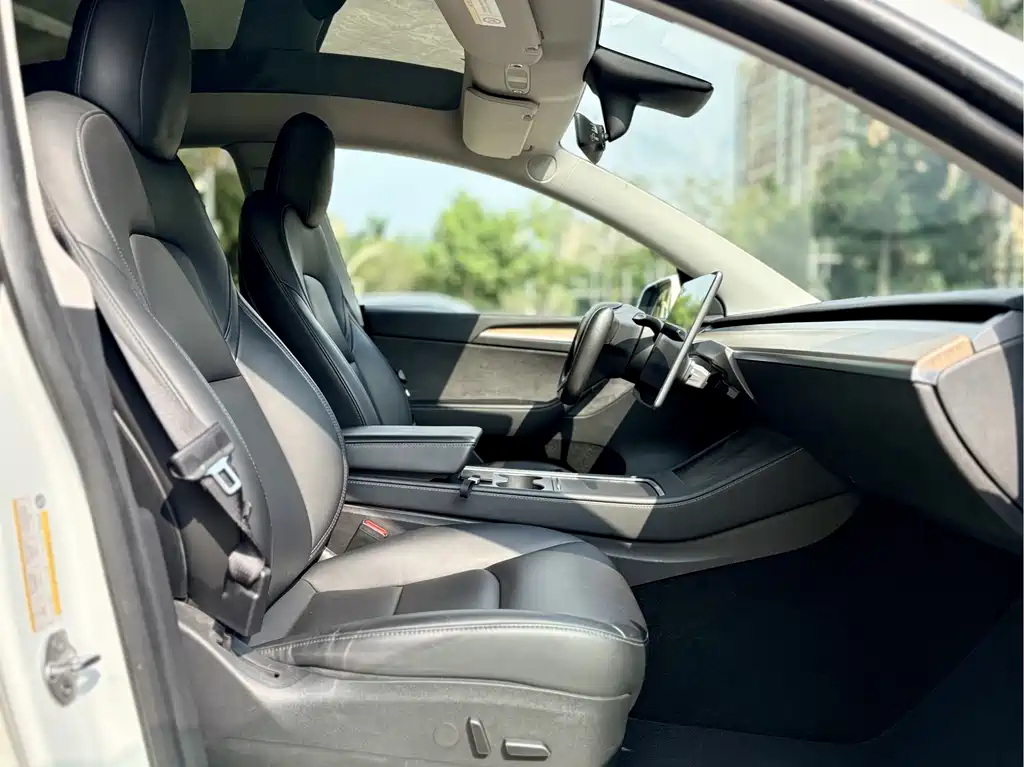 Tesla Model Y — миниатюра 11
