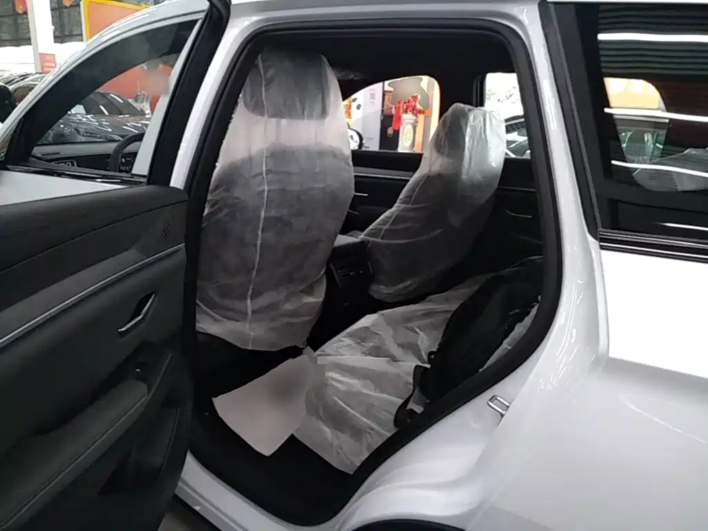 BYD Pro New Energy — миниатюра 17