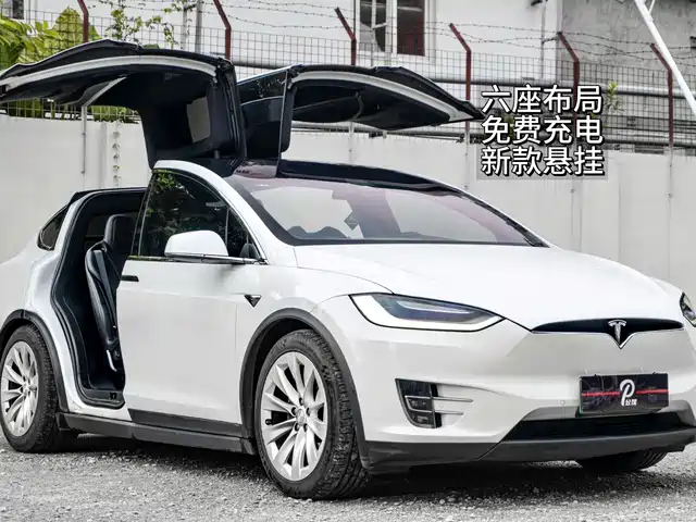 TESLA MODEL X 2019