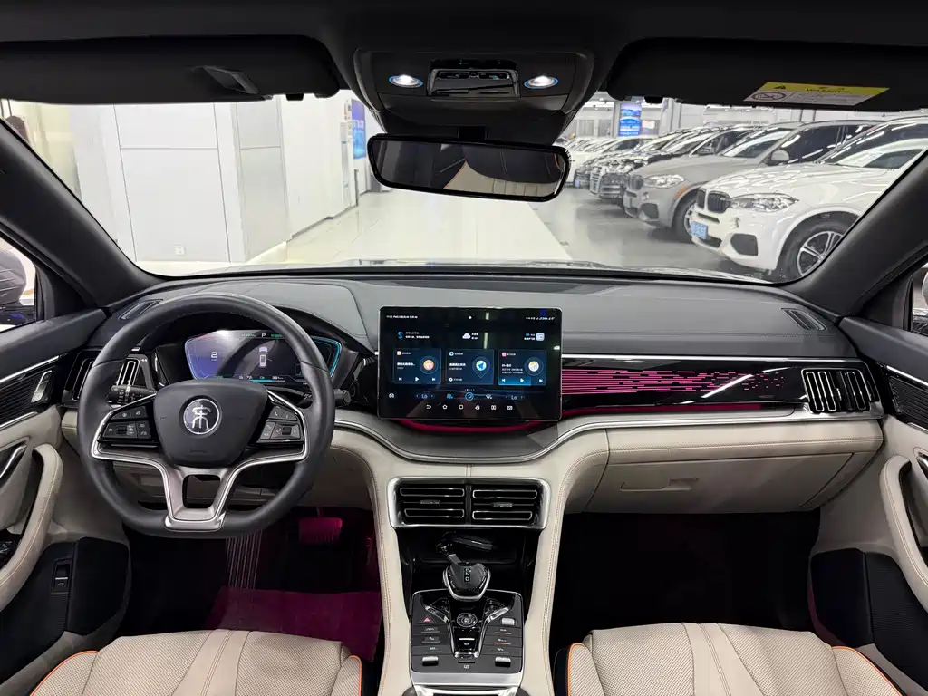 BYD PLUS New Energy — миниатюра 10