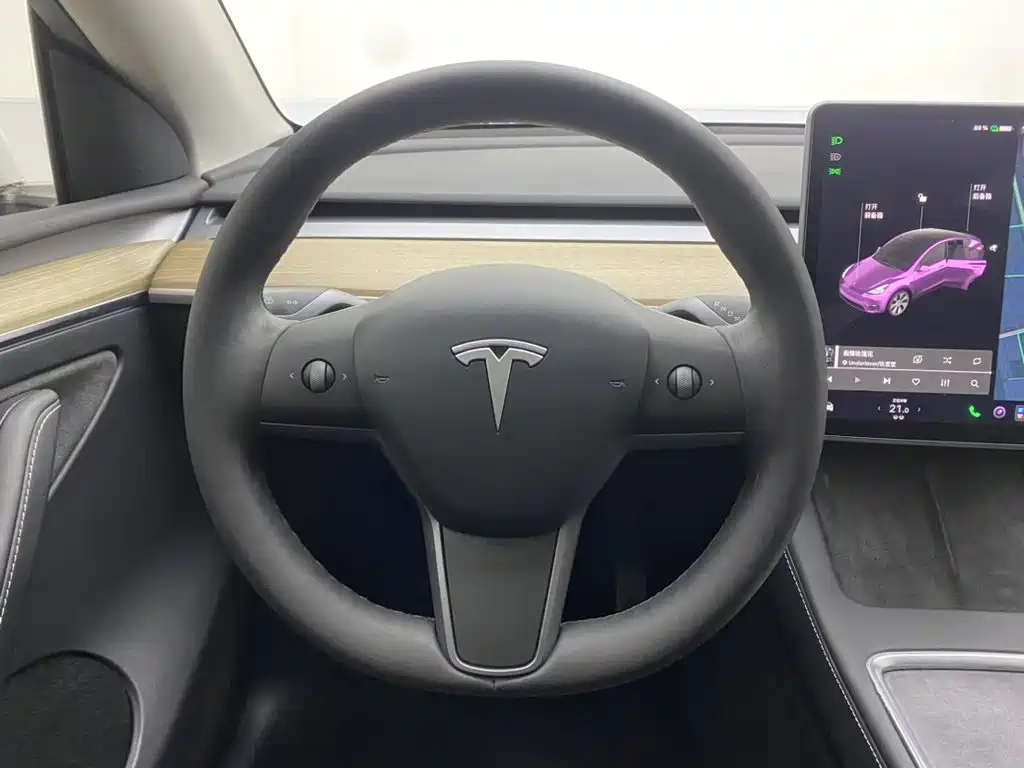 Tesla Model Y — миниатюра 14