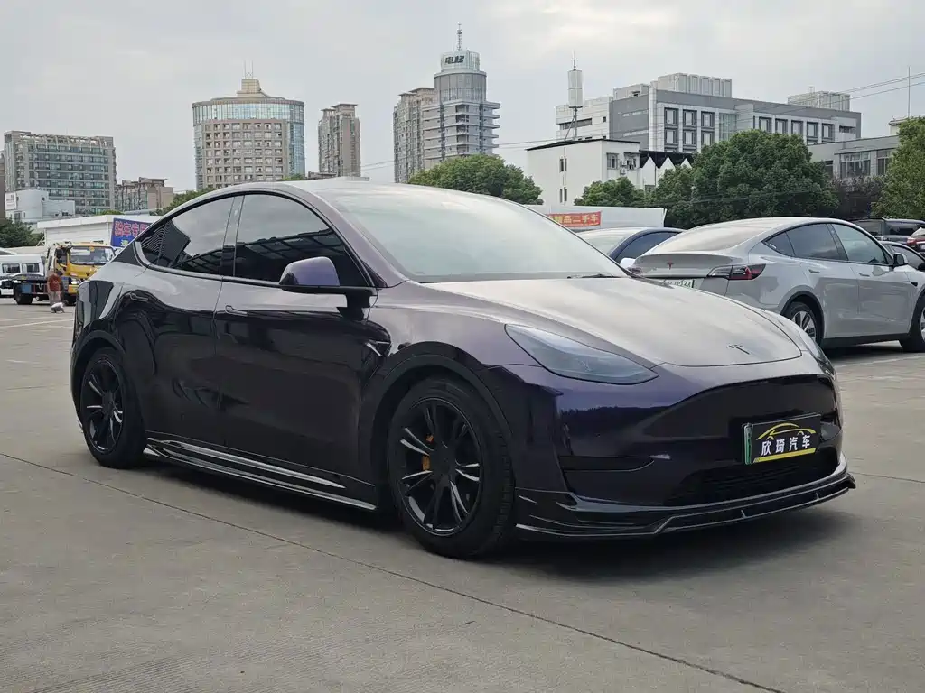 Tesla Model Y — миниатюра 3