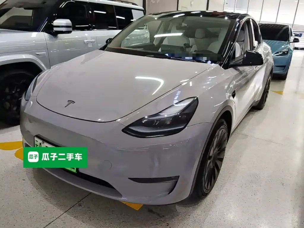 Tesla Model Y — миниатюра 2