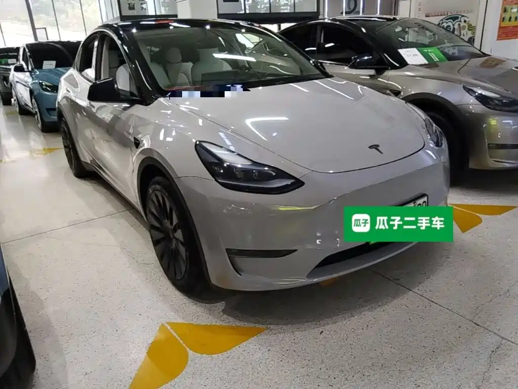 Tesla Model Y — миниатюра 4