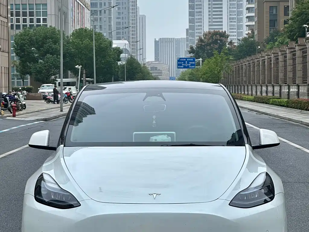 Tesla Model Y — миниатюра 4