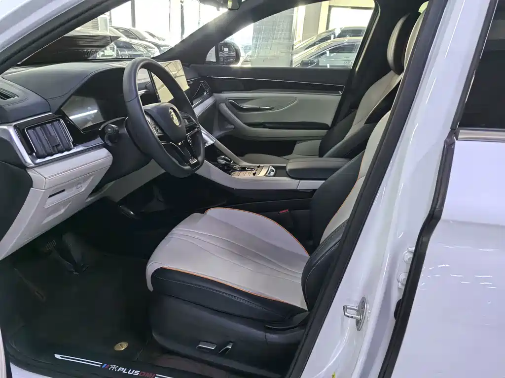 BYD Song Plus DM-i 2021 — фото 7