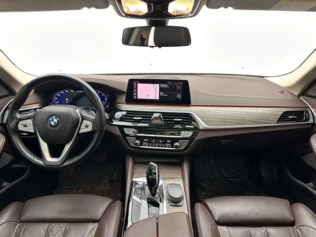 BMW 5 Series 5 2020 530Li Premium Luxury