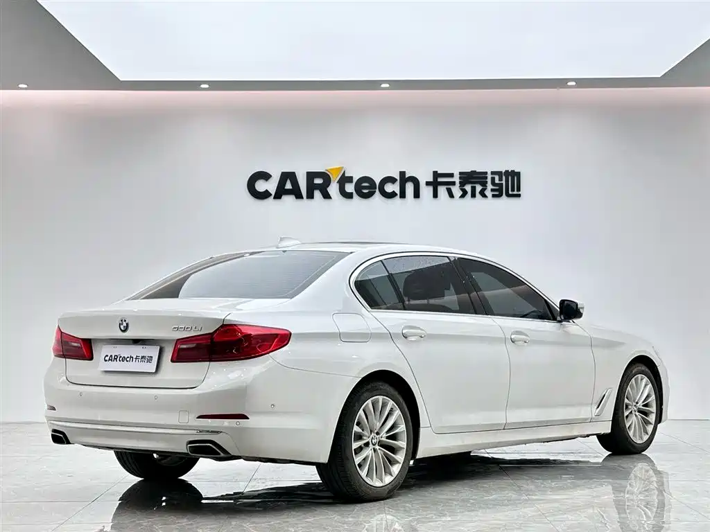 BMW 5 Series 5 2020 530Li Premium Luxury