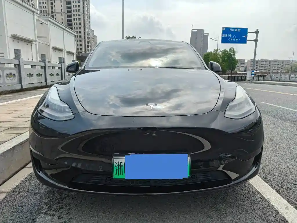 Tesla Model Y — миниатюра 2