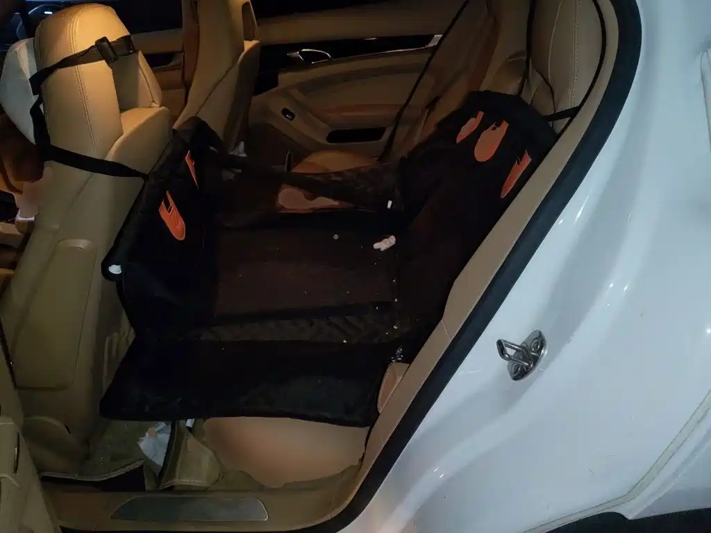 Porsche Panamera — миниатюра 13