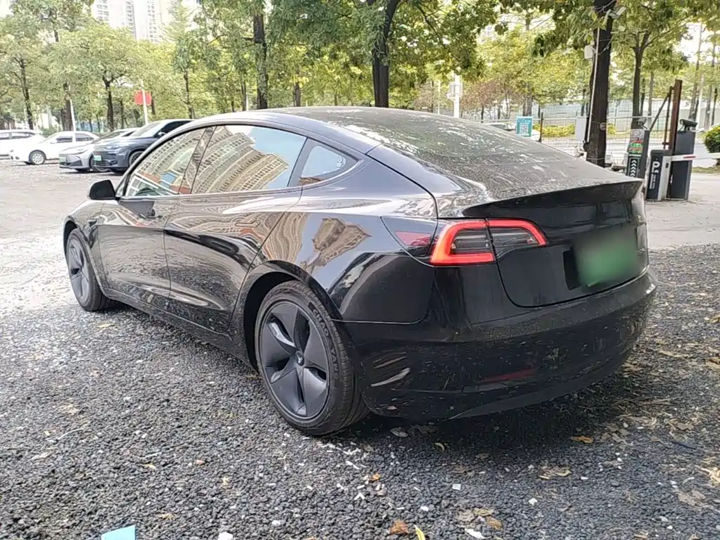 Tesla Model 3 — миниатюра 5