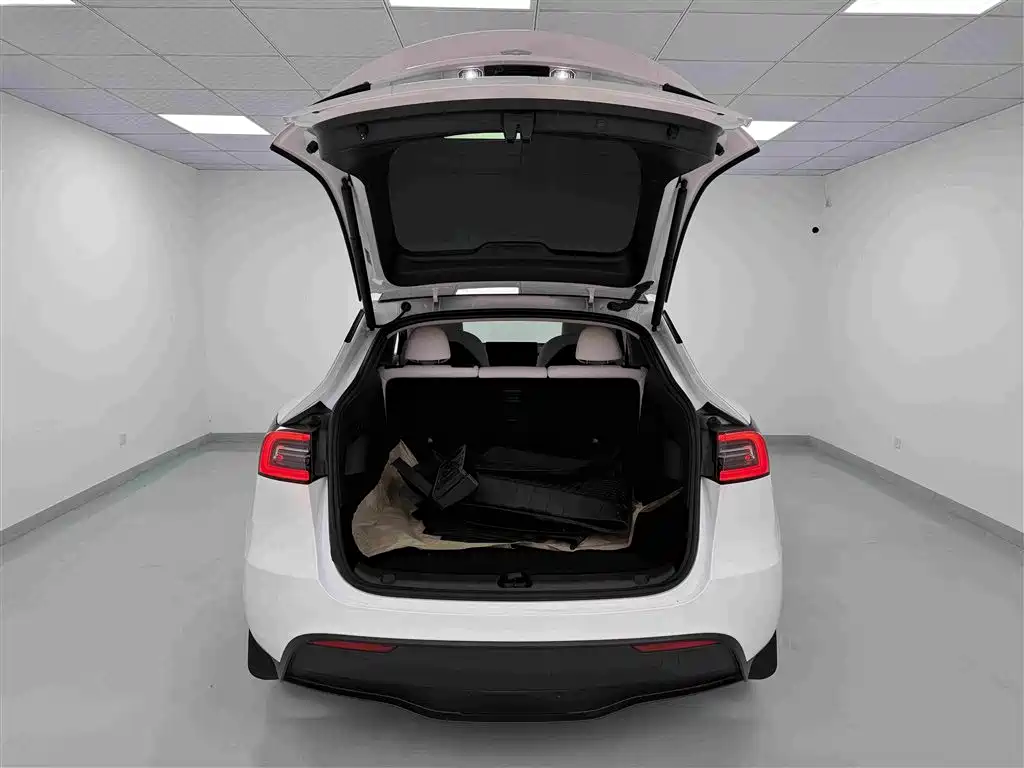 Tesla Model Y — миниатюра 14