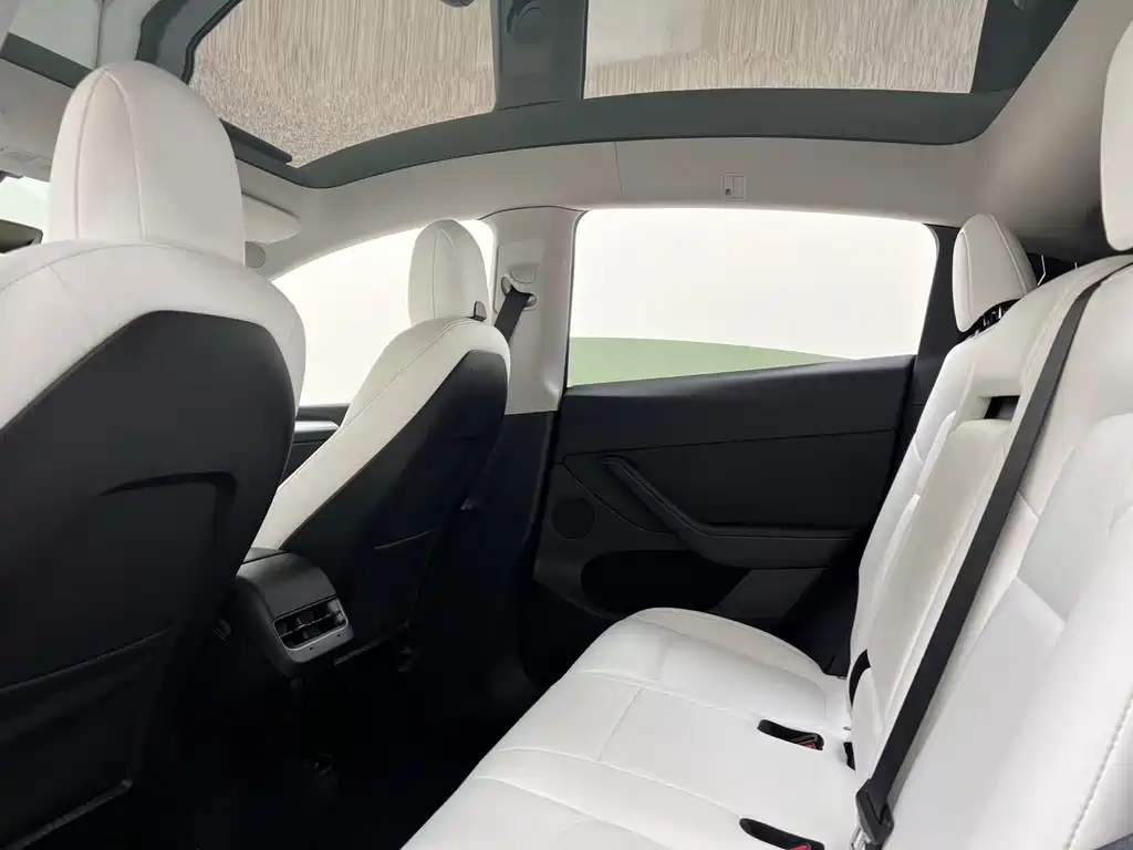 Tesla Model Y — миниатюра 22