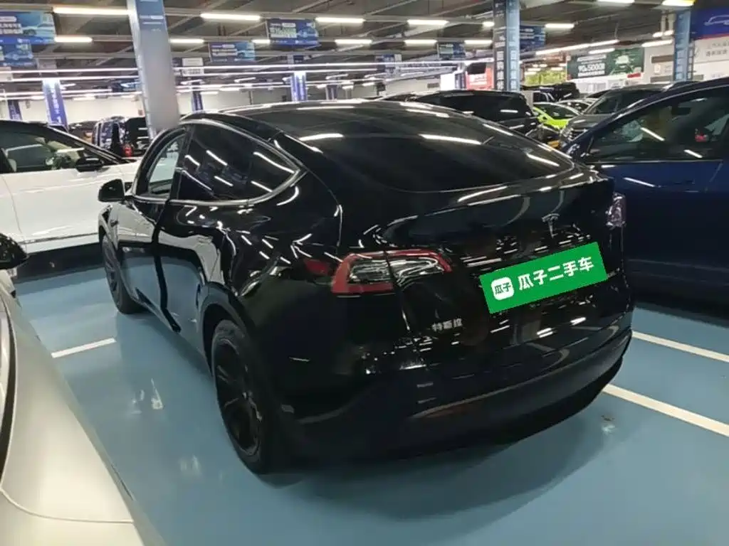 Tesla Model Y — миниатюра 5