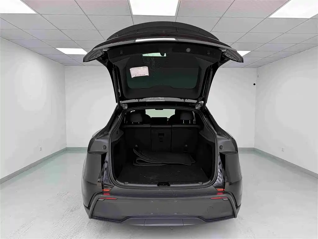 Tesla Model Y — миниатюра 18
