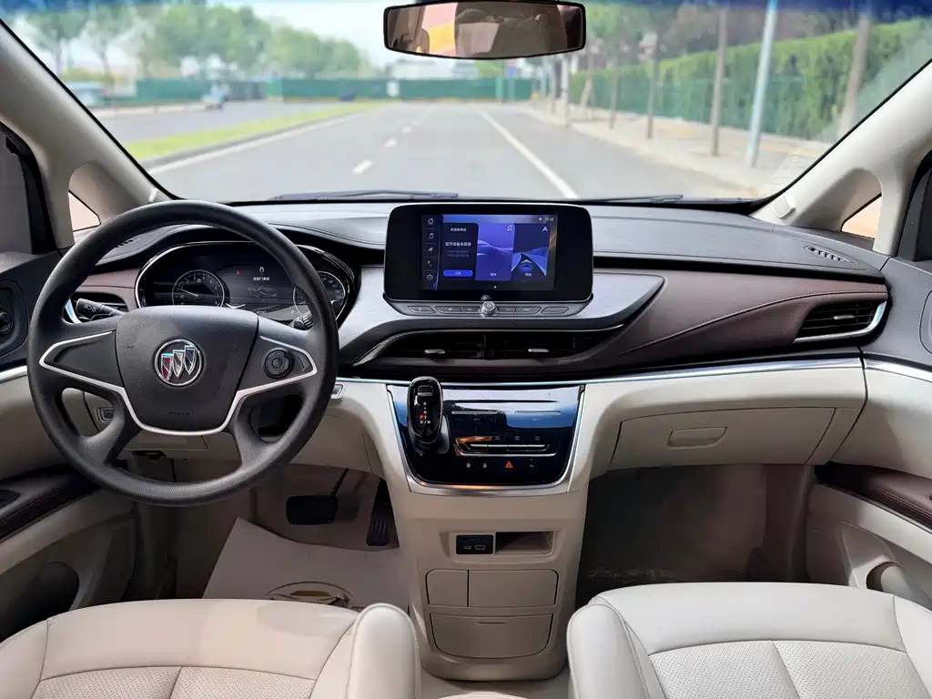 Buick GL8 — миниатюра 9