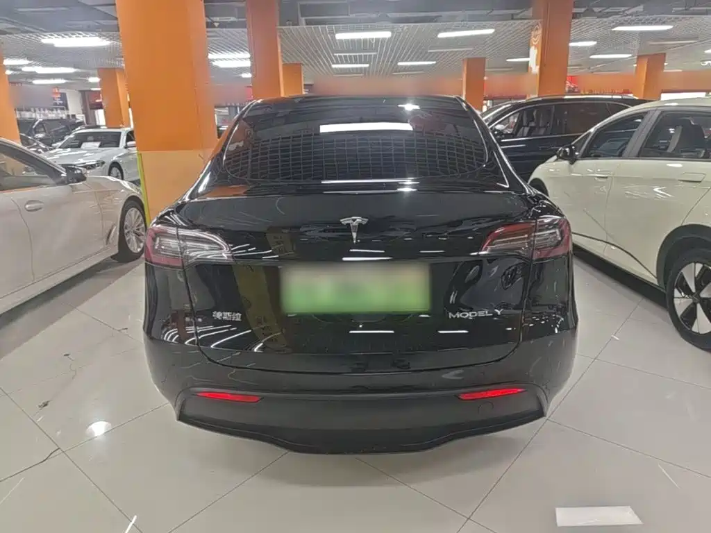 Tesla Model Y — миниатюра 6