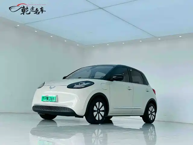 2023 Wuling Motors Binguo
