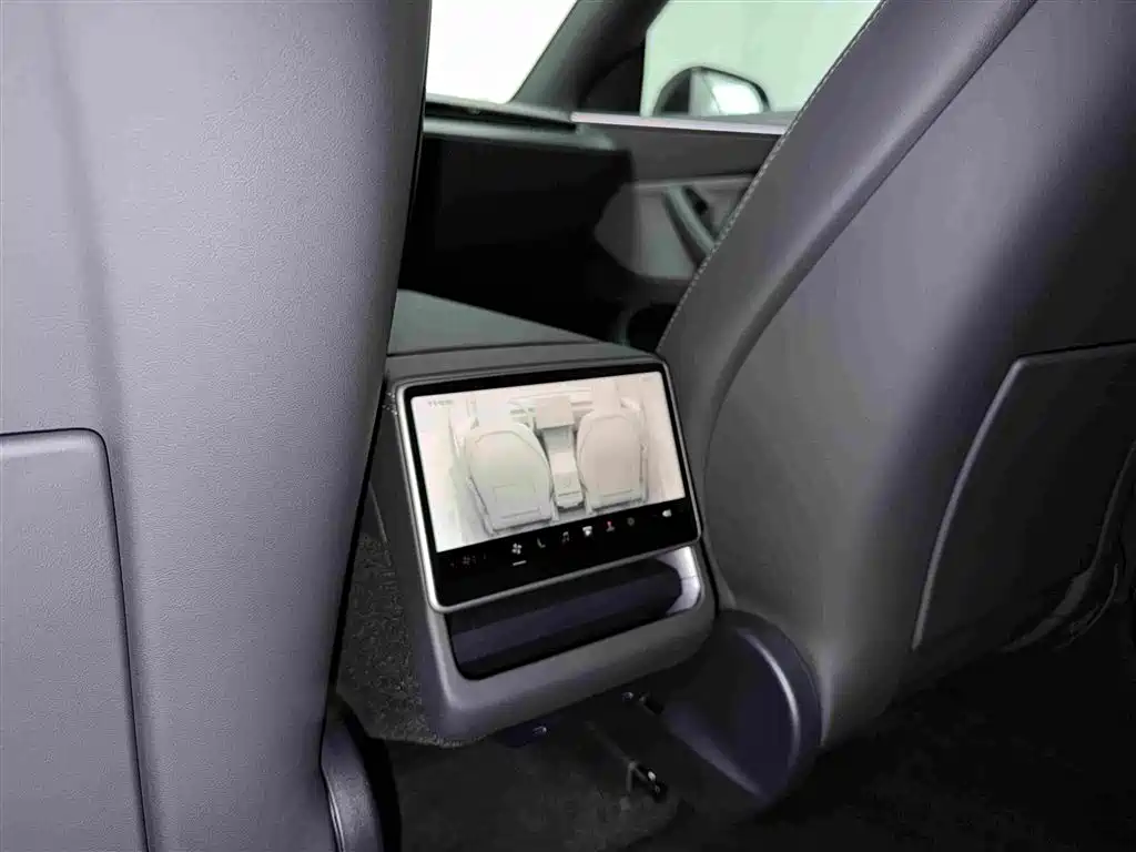 Tesla Model Y — миниатюра 15