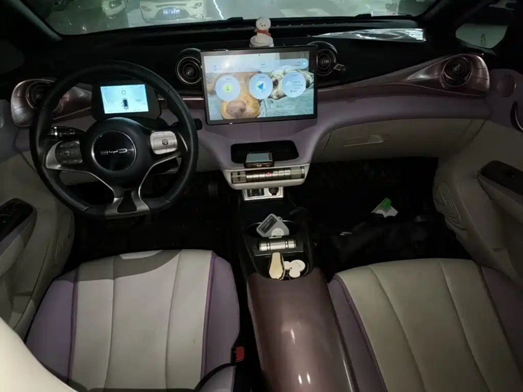 BYD Dolphin — миниатюра 10