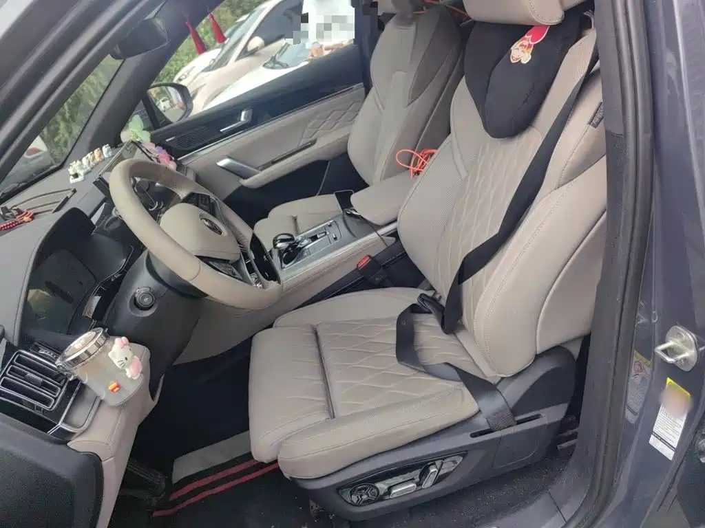 BYD Tang New Energy — миниатюра 11