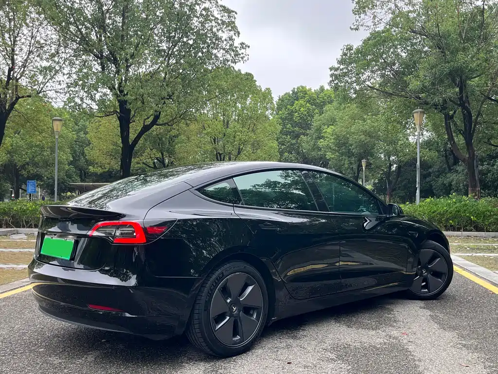Tesla Model 3 — миниатюра 6