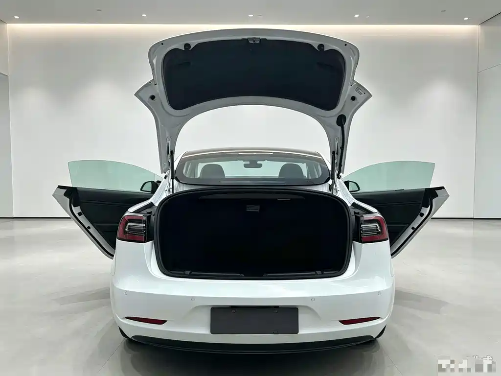 Tesla Model 3 — миниатюра 15