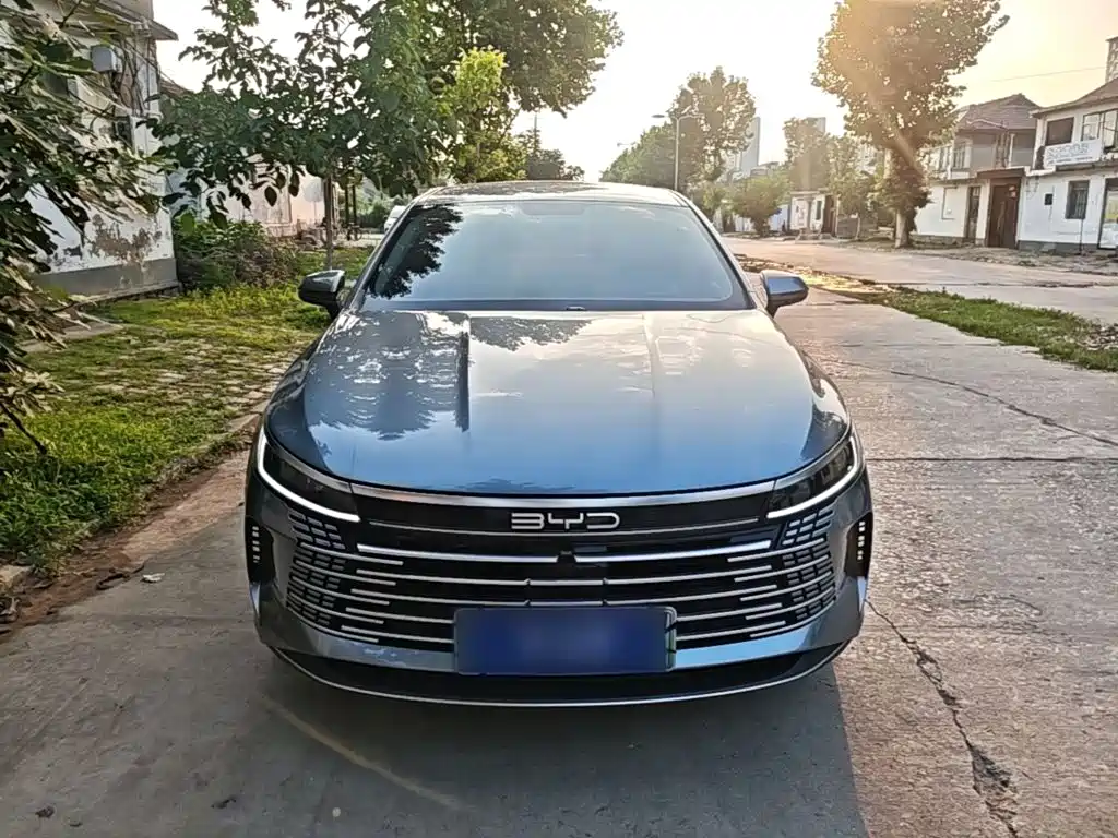 BYD Destroyer 05 2024 DM-i 55KM Luxury