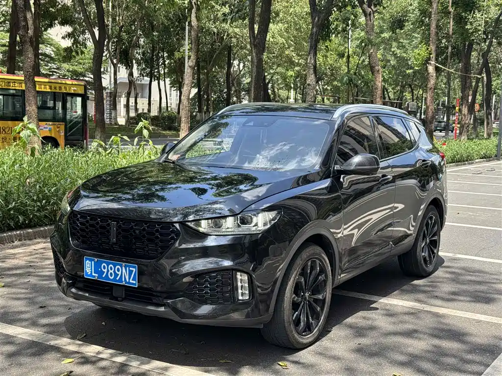 Купить Wey Wey VV6