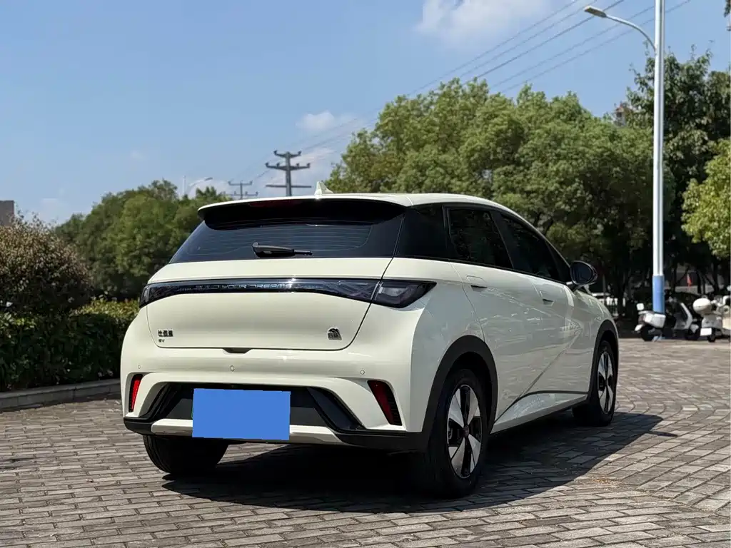 BYD Dolphin — миниатюра 6