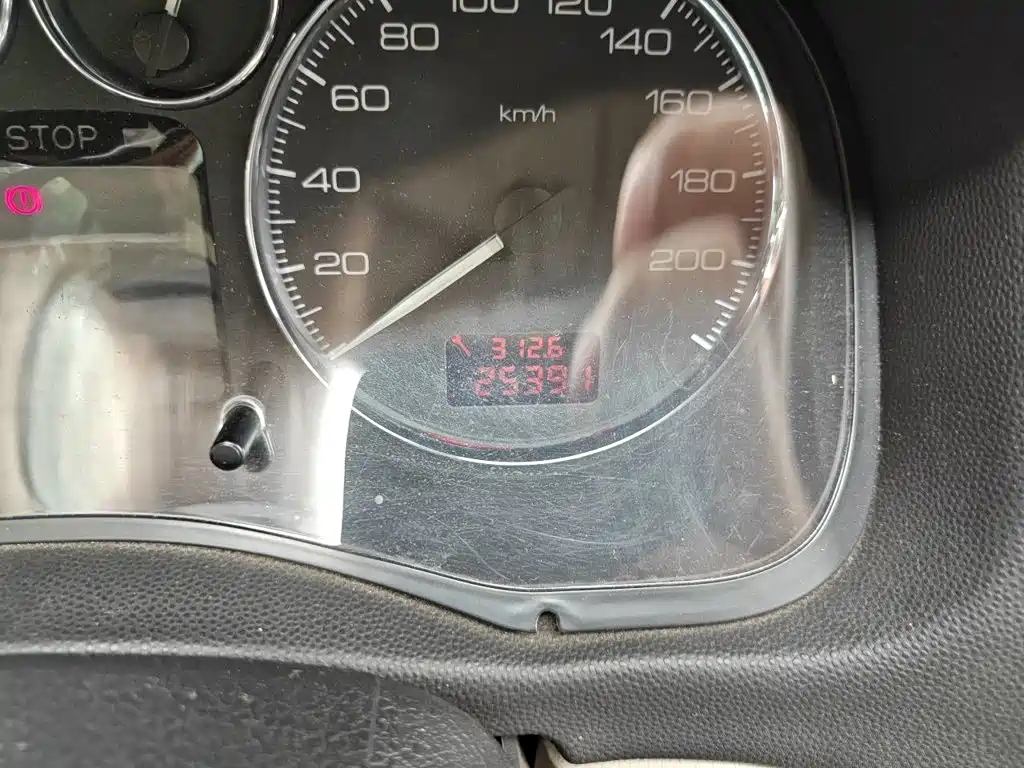 Peugeot 307 — миниатюра 8