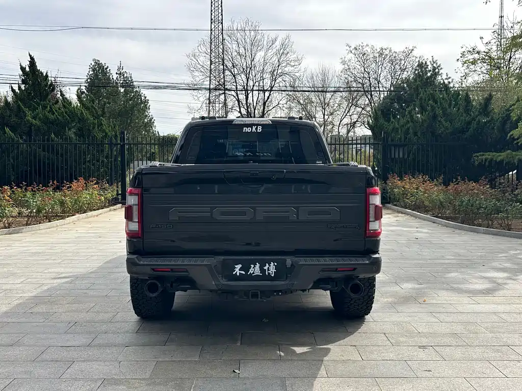 Ford F-150 Raptor — миниатюра 11