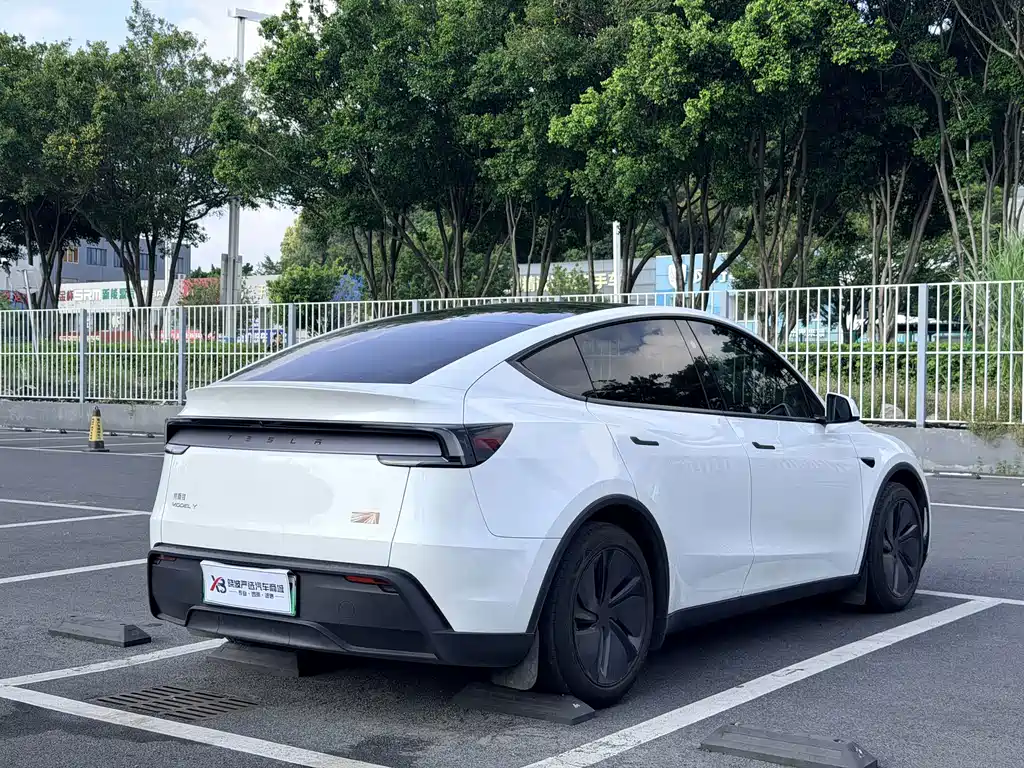 Tesla Model Y — миниатюра 14