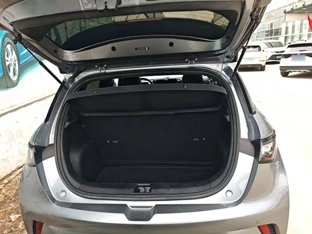 BYD Dolphin — миниатюра 19