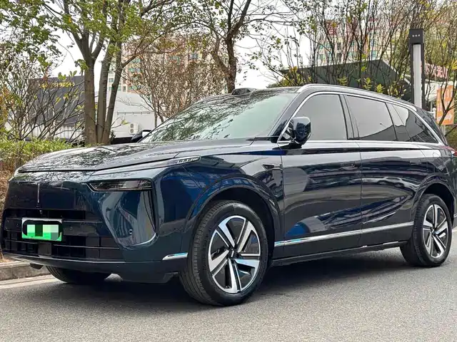 WEI PAI WEI BRAND BLUE MOUNTAIN 2024