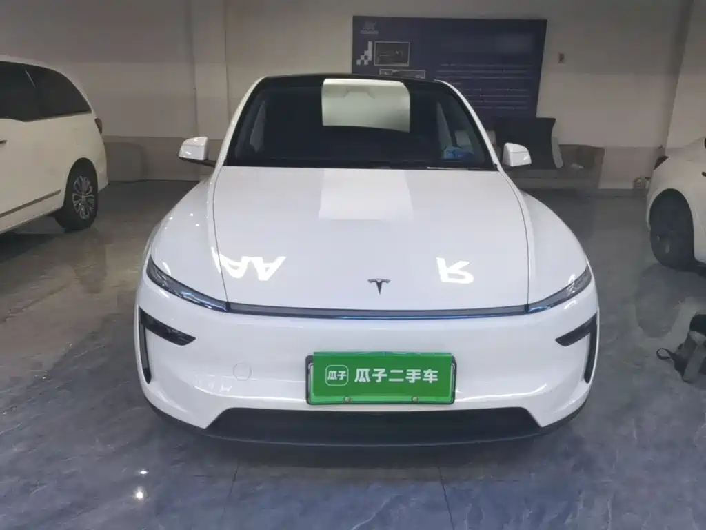 Tesla Model Y — миниатюра 3
