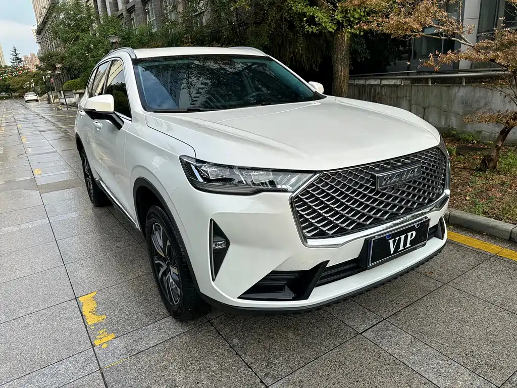 Haval H6 — миниатюра 3