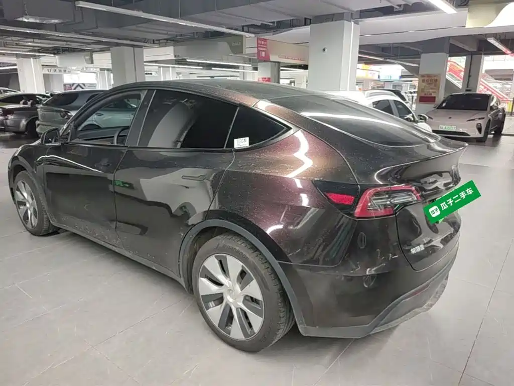 Tesla Model Y — миниатюра 5