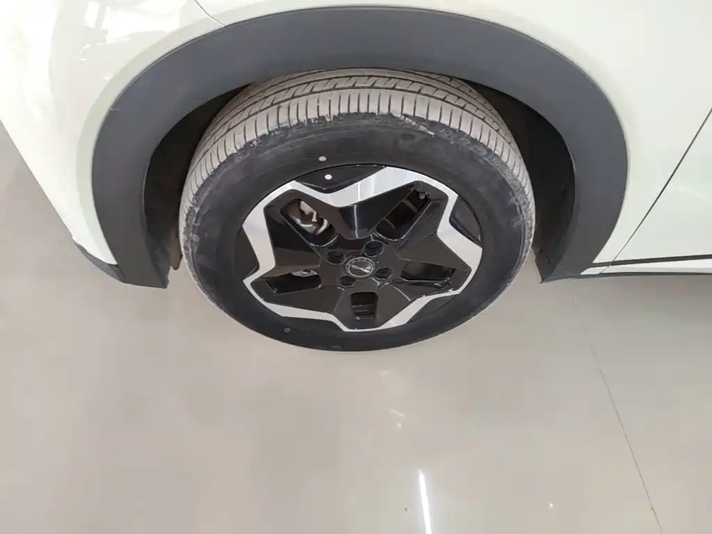 BYD Dolphin — миниатюра 23