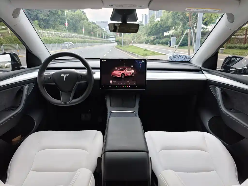 Tesla Model Y — миниатюра 13